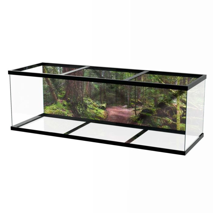 Fantastic Forest Trail VIII makes a perfect background for any fresh or salt water tank or aquarium as well as dry terrariums.