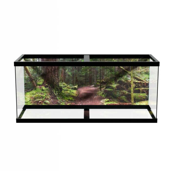 Fantastic Forest Trail VIII makes a perfect background for any fresh or salt water tank or aquarium as well as dry terrariums.