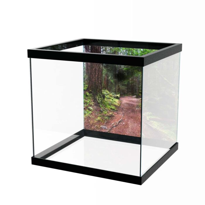 Fantastic Forest Trail VIII makes a perfect background for any fresh or salt water tank or aquarium as well as dry terrariums.