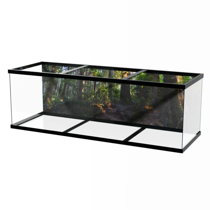 Fantastic Forest Trail IX will make a perfect background for any fresh or salt water tank or aquarium as well as dry terrariums.