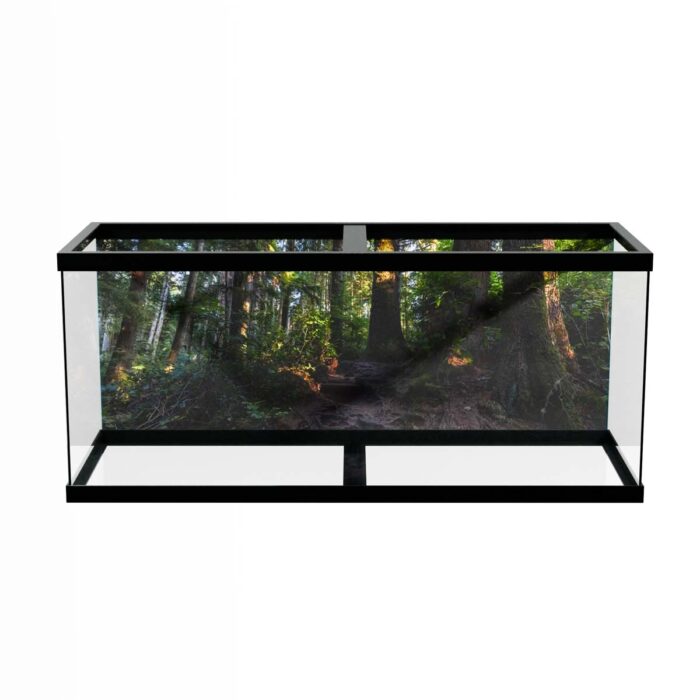 Fantastic Forest Trail IX will make a perfect background for any fresh or salt water tank or aquarium as well as dry terrariums.