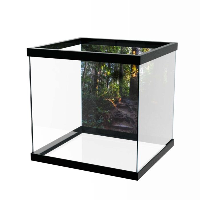 Fantastic Forest Trail IX will make a perfect background for any fresh or salt water tank or aquarium as well as dry terrariums.