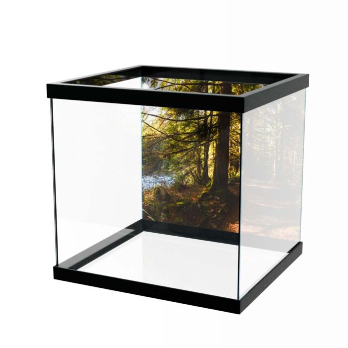 Fantastic Forest Trail makes a perfect background for any fresh or salt water tank or aquarium as well as dry terrariums.