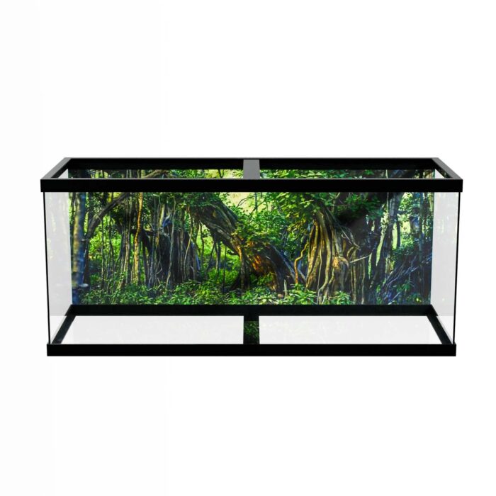 Indian Banyan Jungle II will make a perfect background for any fresh or salt water tank or aquarium as well as dry terrariums.