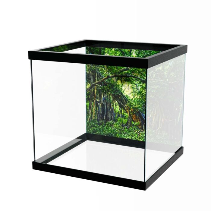 Indian Banyan Jungle II will make a perfect background for any fresh or salt water tank or aquarium as well as dry terrariums.