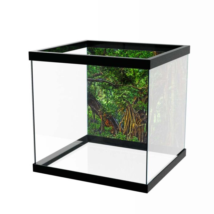 Indian Banyan Jungle will make a perfect background for any fresh or salt water tank or aquarium as well as dry terrariums.