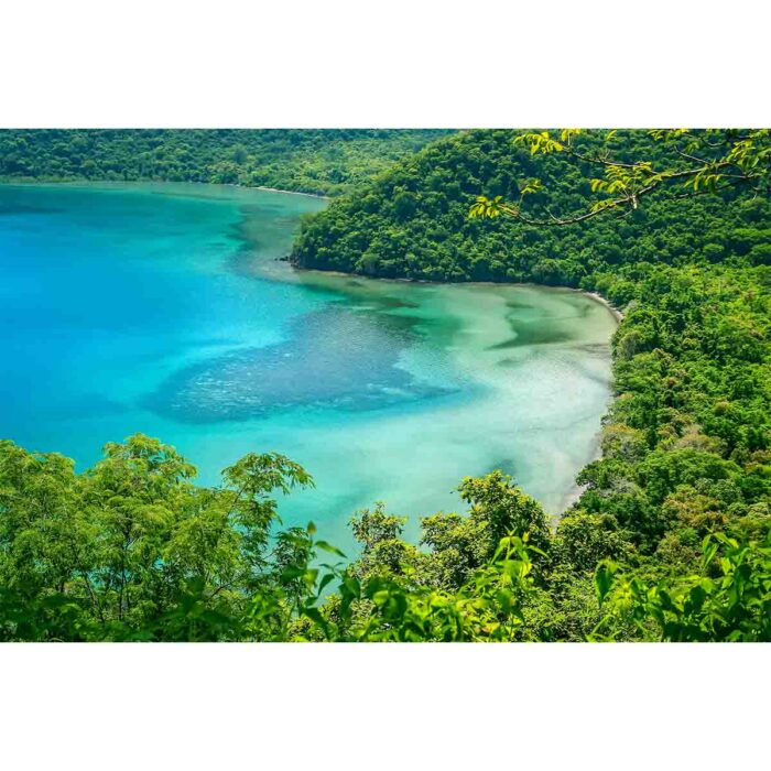 Beautiful Jungle Lagoon will make a perfect background for any fresh or salt water tank or aquarium as well as dry terrariums.