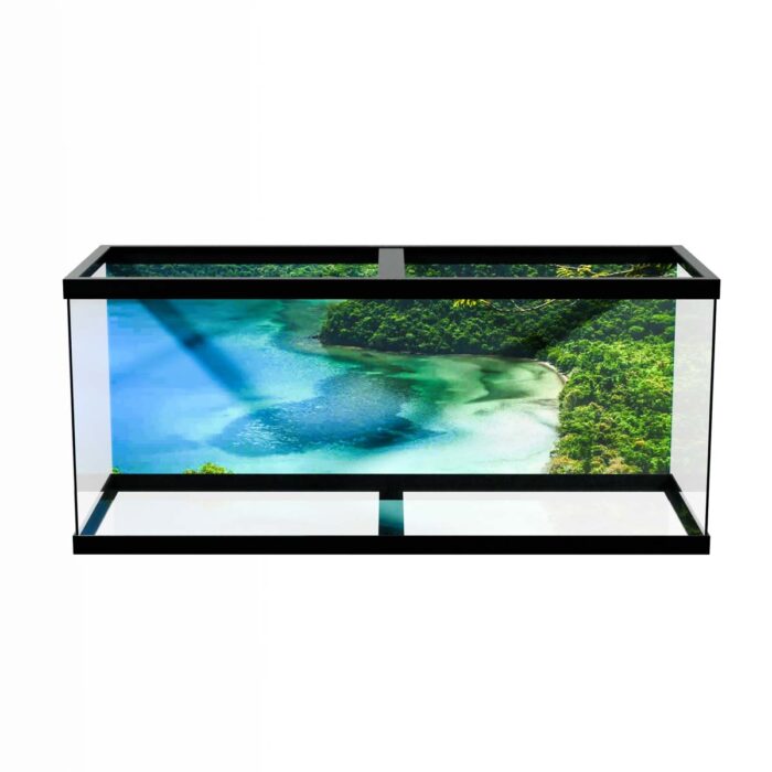 Beautiful Jungle Lagoon will make a perfect background for any fresh or salt water tank or aquarium as well as dry terrariums.