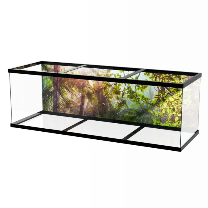 Bright Jungle Sun will make a perfect background for any fresh or salt water tank or aquarium as well as dry terrariums.