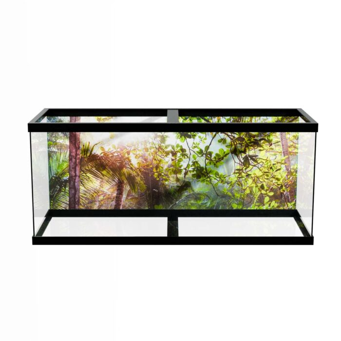 Bright Jungle Sun will make a perfect background for any fresh or salt water tank or aquarium as well as dry terrariums.