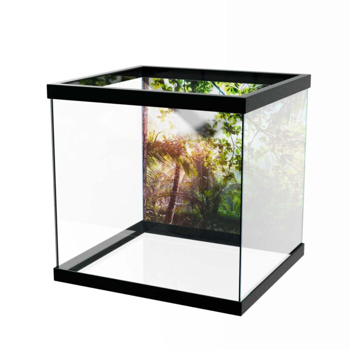 Bright Jungle Sun will make a perfect background for any fresh or salt water tank or aquarium as well as dry terrariums.