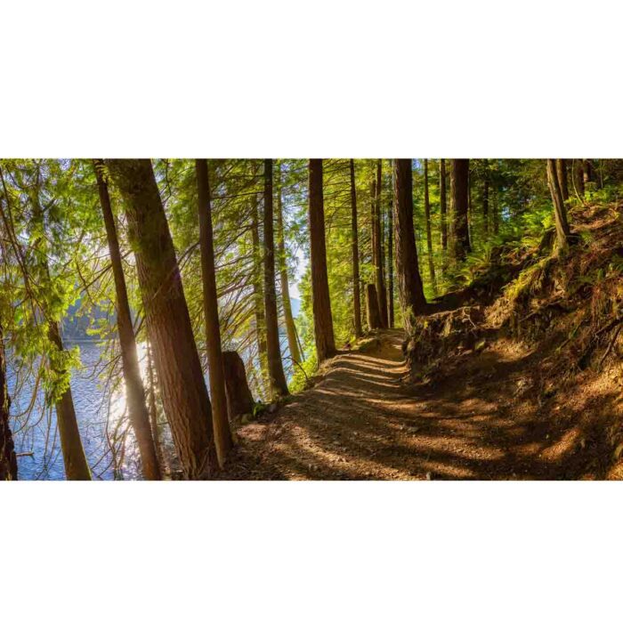 Gorgeous Lake Trail makes a perfect background for any fresh or salt water tank or aquarium as well as dry terrariums.