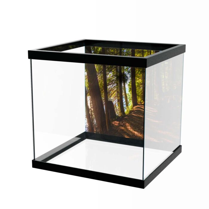 Gorgeous Lake Trail makes a perfect background for any fresh or salt water tank or aquarium as well as dry terrariums.