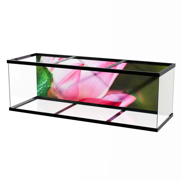 Pink Lotus Flower makes a perfect background for any fresh or salt water tank or aquarium as well as dry terrariums.