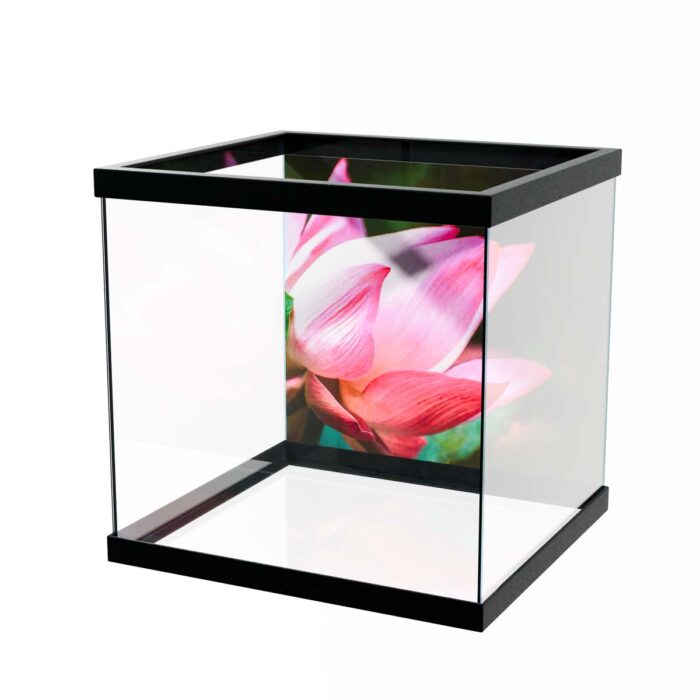 Pink Lotus Flower makes a perfect background for any fresh or salt water tank or aquarium as well as dry terrariums.