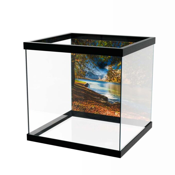 Magical Autumn Lake makes a perfect background for any fresh or salt water tank or aquarium as well as dry terrariums.