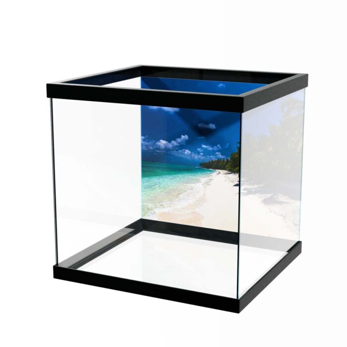 Maldives Beach makes a perfect background for any fresh or salt water tank or aquarium as well as dry terrariums.