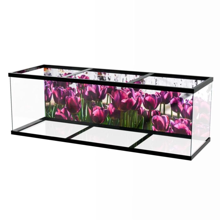 Beautiful Purple Tulips make a perfect background for any fresh or salt water tank or aquarium as well as dry terrariums.