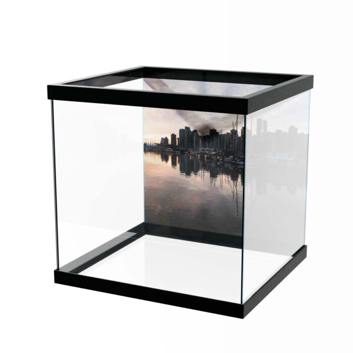 Sail Boats Marina makes a perfect background for any fresh or salt water tank or aquarium as well as dry terrariums.