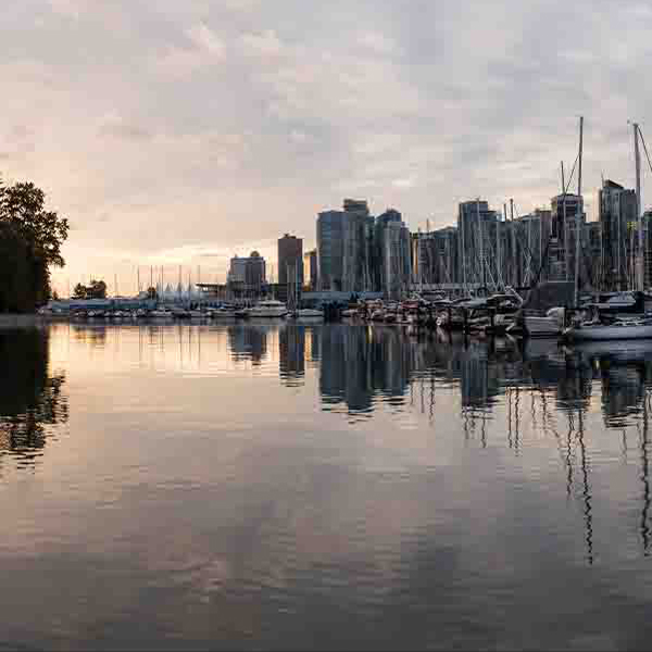 Sail Boats Marina makes a perfect background for any fresh or salt water tank or aquarium as well as dry terrariums.