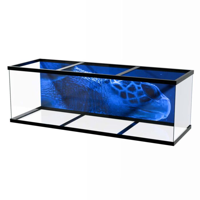 Blue Sea Turtle makes a perfect background for any fresh or salt water tank or aquarium as well as dry terrariums.