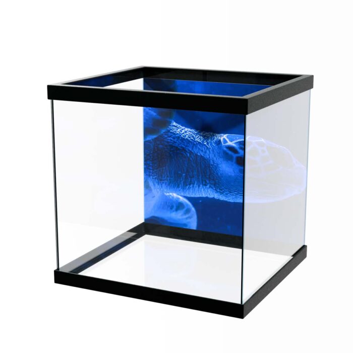 Blue Sea Turtle makes a perfect background for any fresh or salt water tank or aquarium as well as dry terrariums.