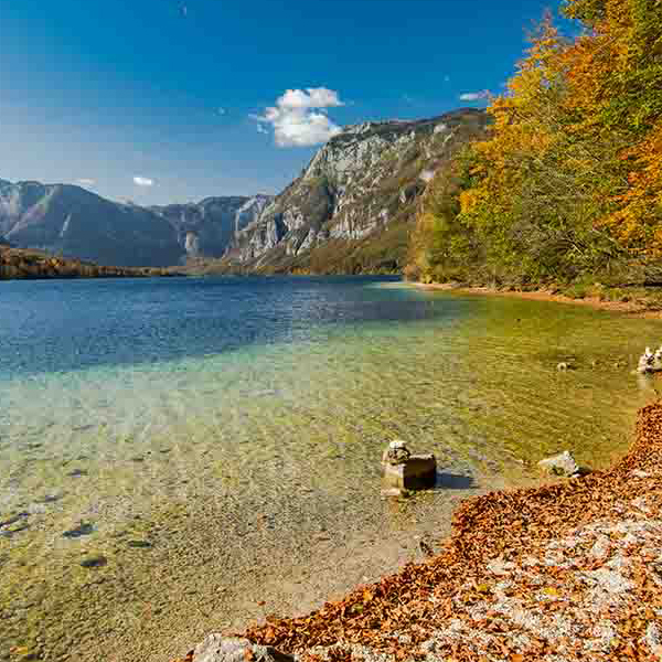 Stunning Autumn Lake makes a perfect background for any fresh or salt water tank or aquarium as well as dry terrariums.