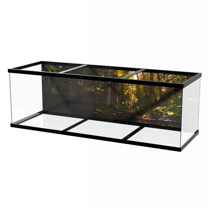 Sunny Day Forest will make a perfect background for any fresh or salt water tank or aquarium as well as dry terrariums.