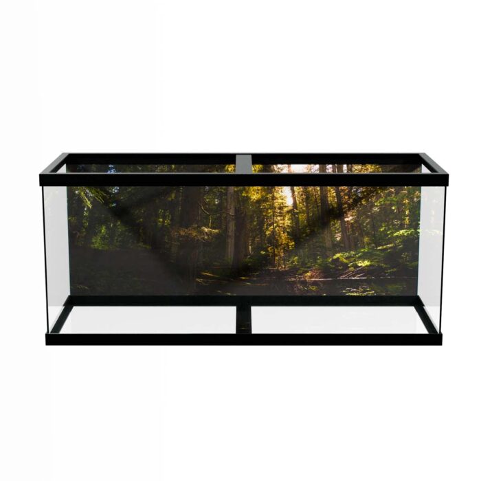 Sunny Day Forest will make a perfect background for any fresh or salt water tank or aquarium as well as dry terrariums.