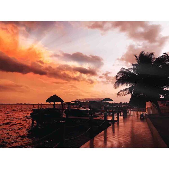 Sunset Over Docks makes a perfect background for any fresh or salt water tank or aquarium as well as dry terrariums.