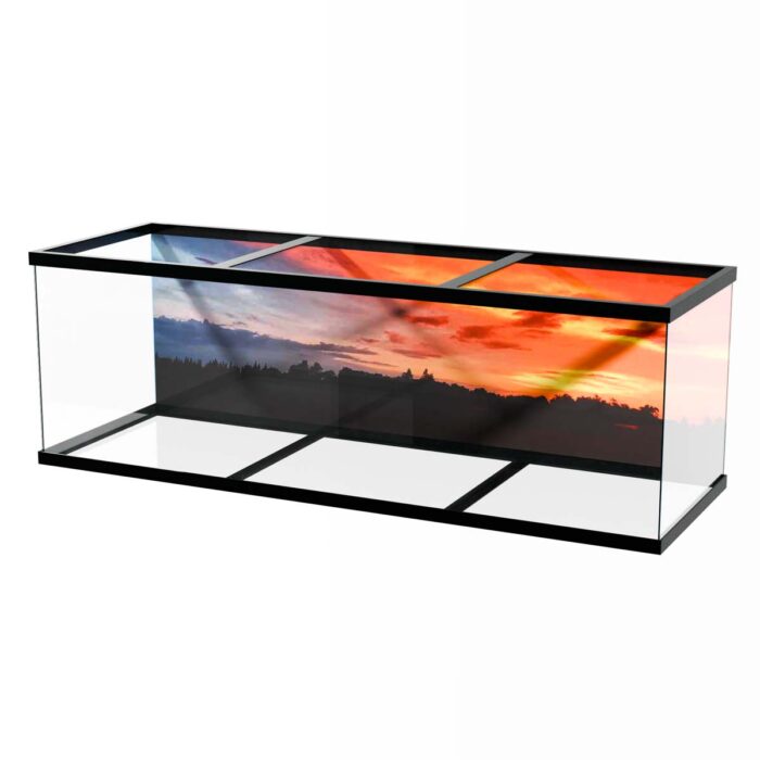 Sunset Over Trees makes a perfect background for any fresh or salt water tank or aquarium as well as dry terrariums.