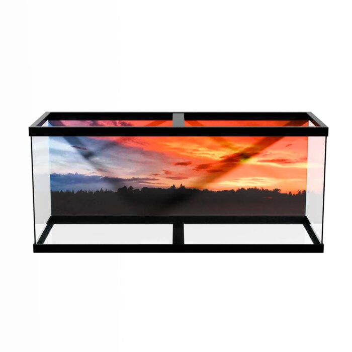 Sunset Over Trees makes a perfect background for any fresh or salt water tank or aquarium as well as dry terrariums.