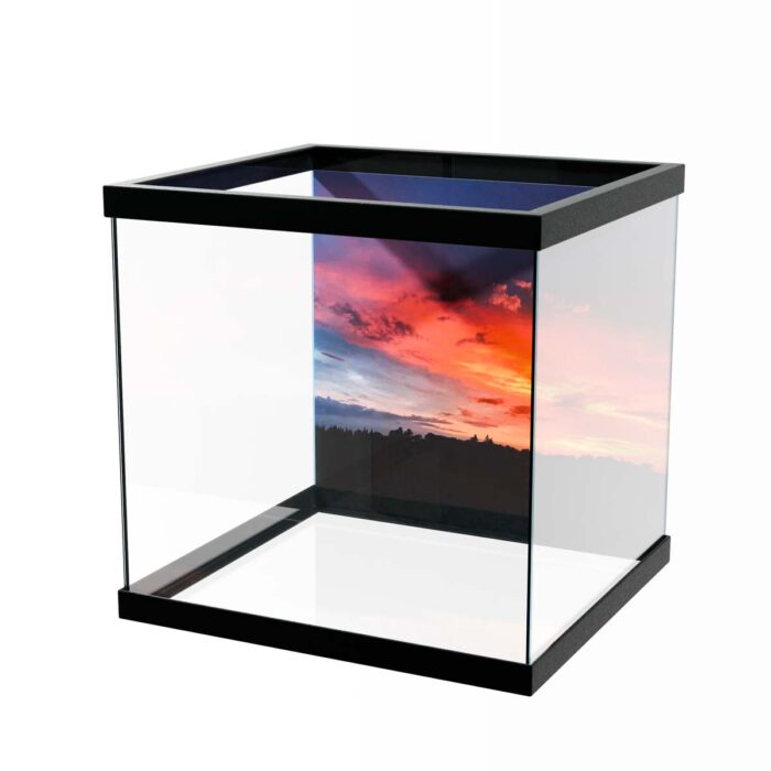 Sunset Over Trees makes a perfect background for any fresh or salt water tank or aquarium as well as dry terrariums.