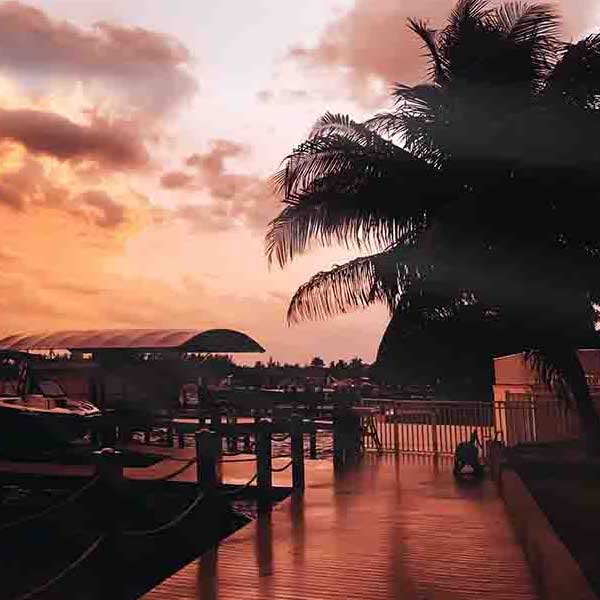 Sunset Over Docks makes a perfect background for any fresh or salt water tank or aquarium as well as dry terrariums.