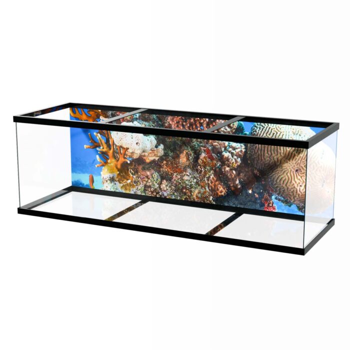 Coral Reef City will make a perfect background for any fresh or salt water tank or aquarium as well as dry terrariums.