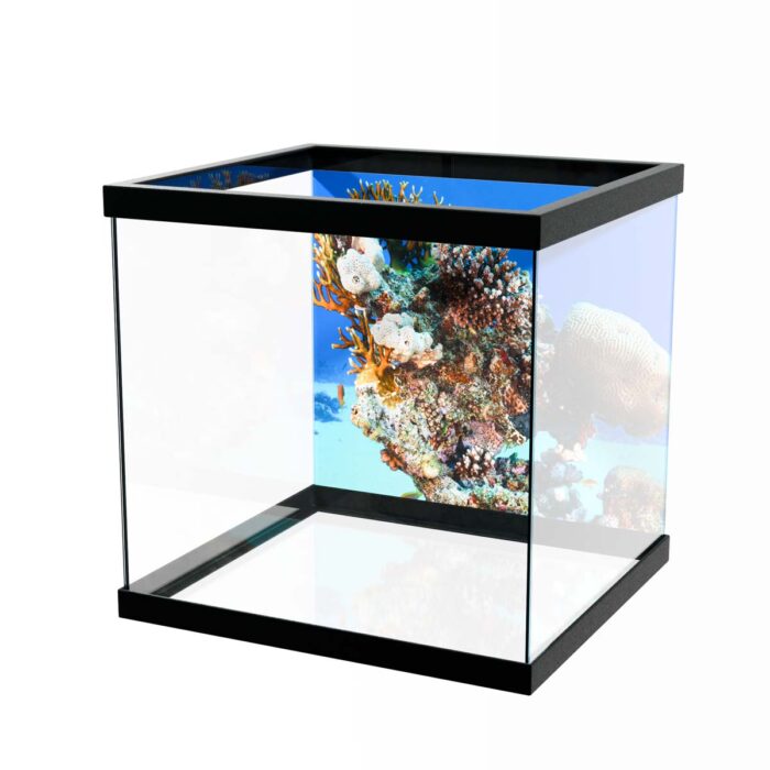 Coral Reef City will make a perfect background for any fresh or salt water tank or aquarium as well as dry terrariums.