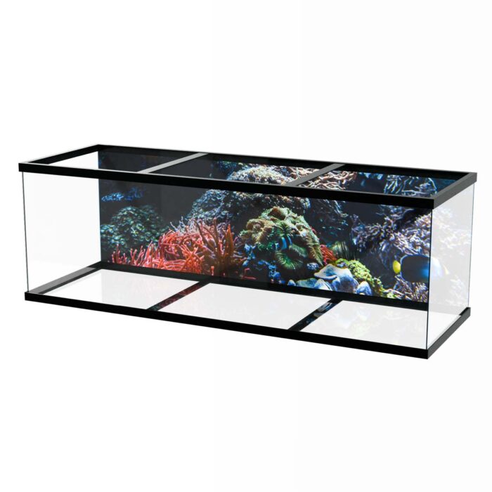 Coral Colony Sea will make a perfect background for any fresh or salt water tank or aquarium as well as dry terrariums.