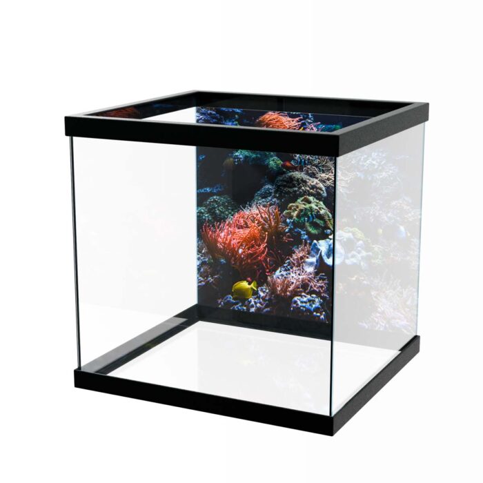 Coral Colony Sea will make a perfect background for any fresh or salt water tank or aquarium as well as dry terrariums.