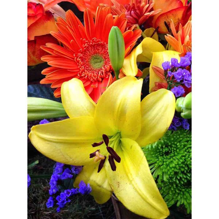 Vibrant Colorful Flowers make a perfect background for any fresh or salt water tank or aquarium as well as dry terrariums.