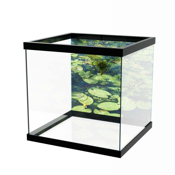 Water Lilly Pads X makes a perfect background for any fresh or salt water tank or aquarium as well as dry terrariums.