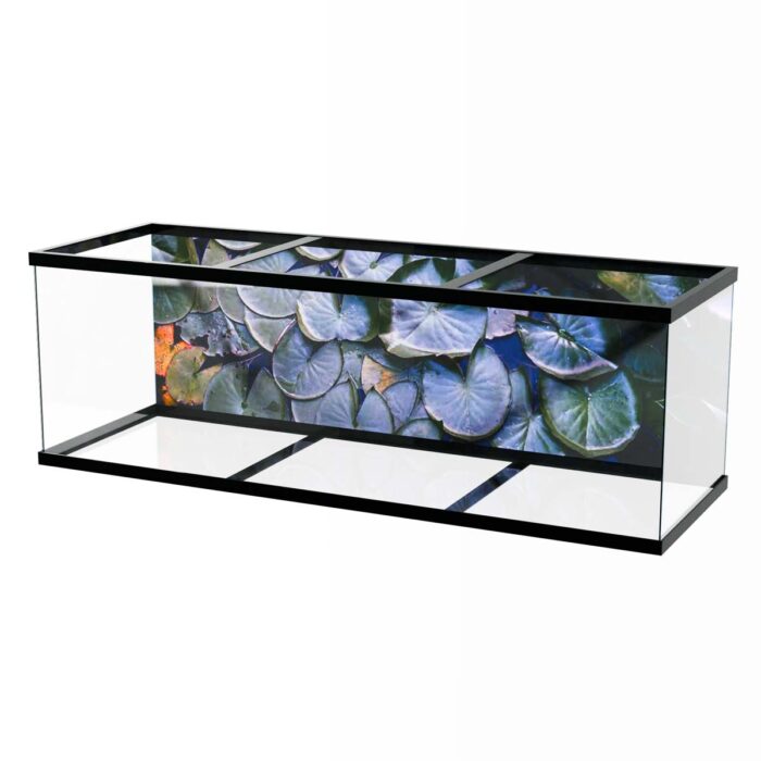 Water Lilly Pads II make a perfect background for any fresh or salt water tank or aquarium as well as dry terrariums.