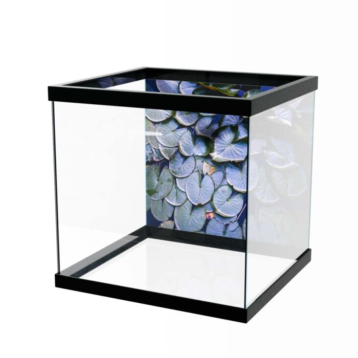 Water Lilly Pads II make a perfect background for any fresh or salt water tank or aquarium as well as dry terrariums.