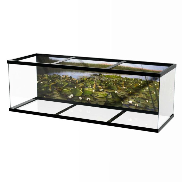 Water Lilly Pads IV make a perfect background for any fresh or salt water tank or aquarium as well as dry terrariums.