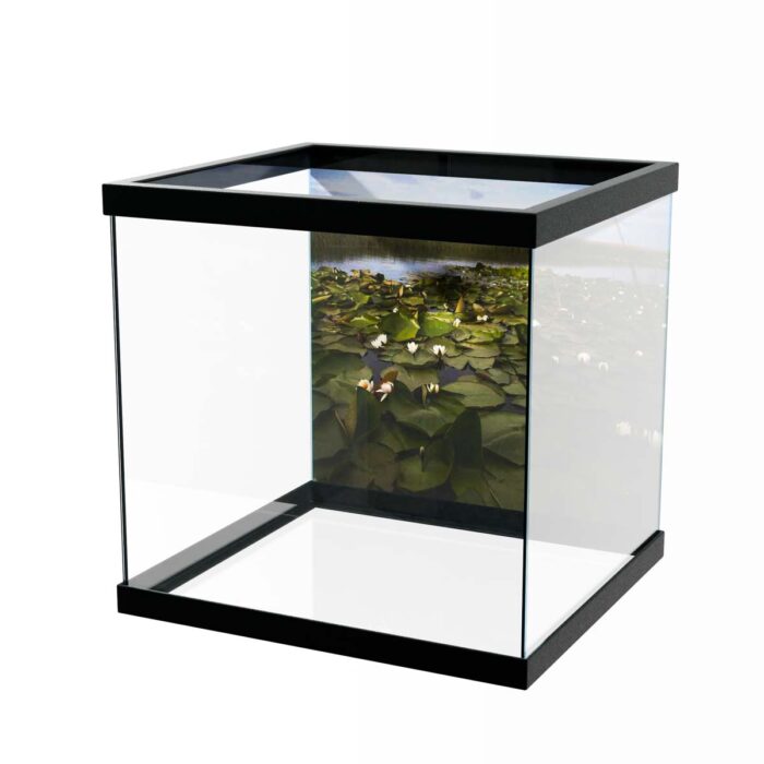 Water Lilly Pads IV make a perfect background for any fresh or salt water tank or aquarium as well as dry terrariums.