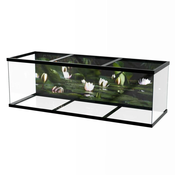 Water Lilly Pads VI make a perfect background for any fresh or salt water tank or aquarium as well as dry terrariums.