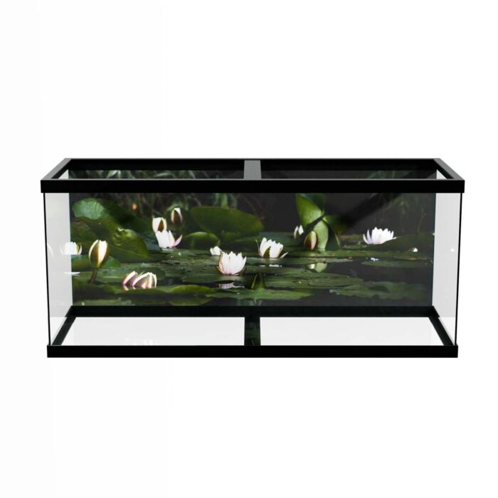 Water Lilly Pads VI make a perfect background for any fresh or salt water tank or aquarium as well as dry terrariums.