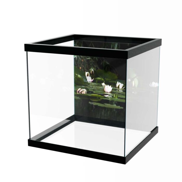 Water Lilly Pads VI make a perfect background for any fresh or salt water tank or aquarium as well as dry terrariums.