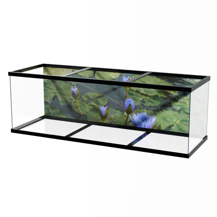 Water Lilly Pads VII make a perfect background for any fresh or salt water tank or aquarium as well as dry terrariums.