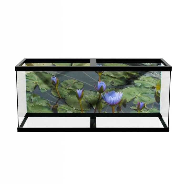 Water Lilly Pads VII make a perfect background for any fresh or salt water tank or aquarium as well as dry terrariums.