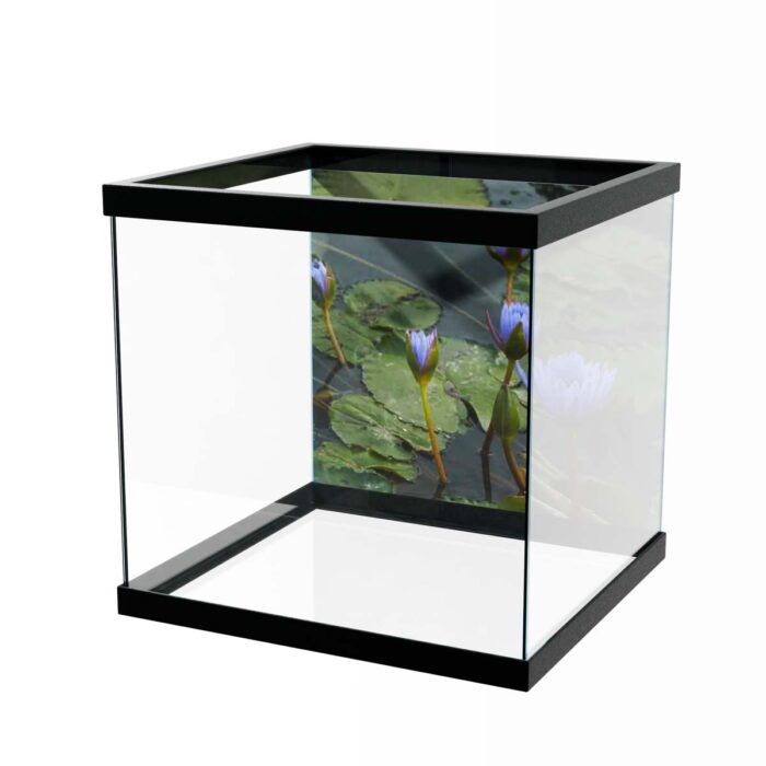 Water Lilly Pads VII make a perfect background for any fresh or salt water tank or aquarium as well as dry terrariums.